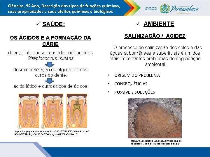 Ciências, 9º Ano, Descrição dos tipos de funções químicas, suas propriedades e seus efeitos