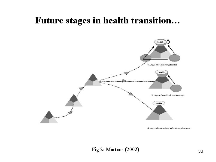 Future stages in health transition… Fig 2: Martens (2002) 30 