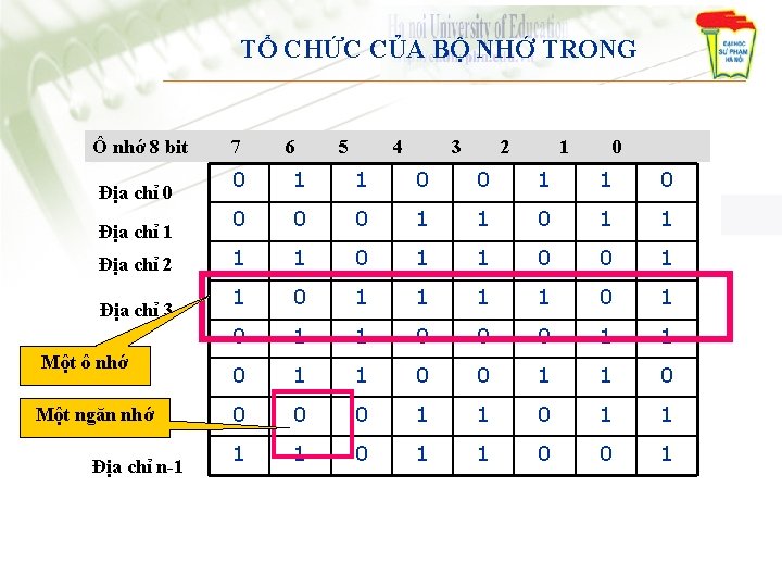 TỔ CHỨC CỦA BỘ NHỚ TRONG Ô nhớ 8 bit Địa chỉ 0 Địa TỔ CHỨC CỦA BỘ NHỚ TRONG Ô nhớ 8 bit Địa chỉ 0 Địa