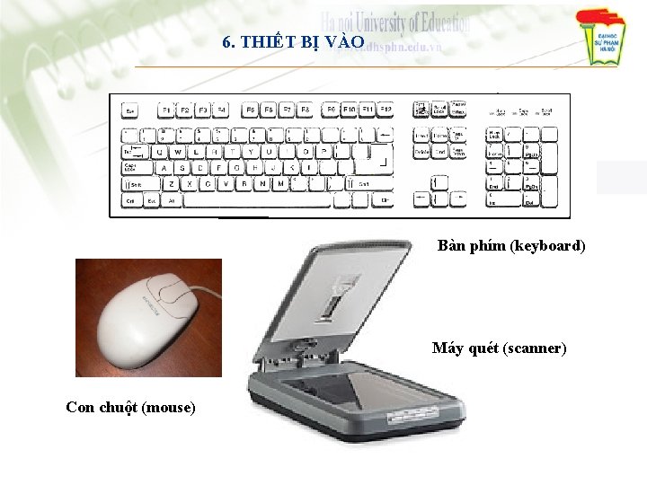 6. THIẾT BỊ VÀO Bàn phím (keyboard) Máy quét (scanner) Con chuột (mouse) 