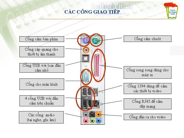CÁC CỔNG GIAO TIẾP Cổng cắm bàn phím Cổng cắm chuột Cổng cáp quang CÁC CỔNG GIAO TIẾP Cổng cắm bàn phím Cổng cắm chuột Cổng cáp quang