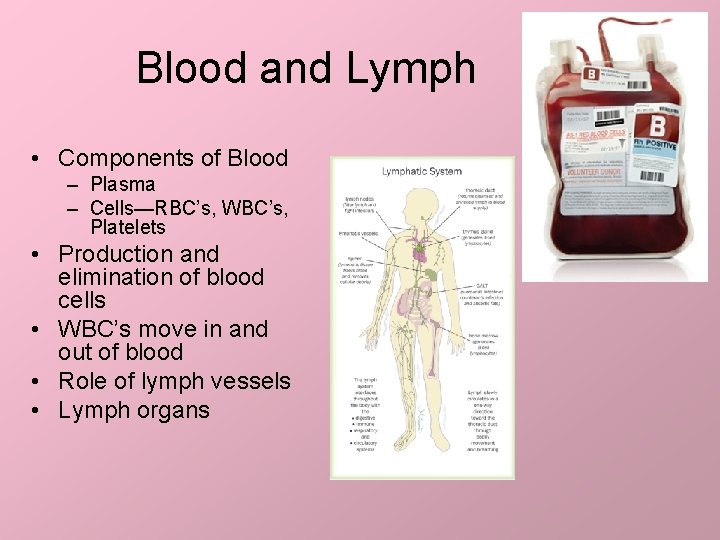 Blood and Lymph • Components of Blood – Plasma – Cells—RBC’s, WBC’s, Platelets •