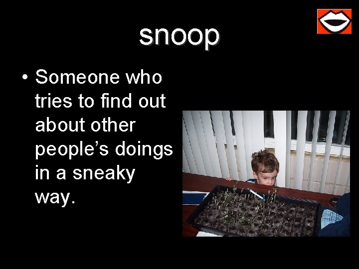 snoop • Someone who tries to find out about other people’s doings in a