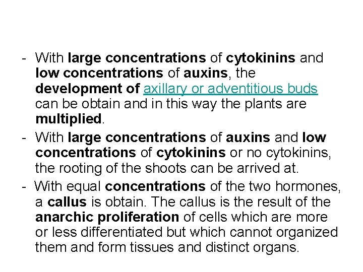 - With large concentrations of cytokinins and low concentrations of auxins, the development of - With large concentrations of cytokinins and low concentrations of auxins, the development of
