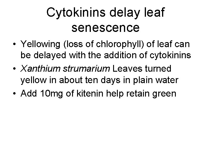 Cytokinins delay leaf senescence • Yellowing (loss of chlorophyll) of leaf can be delayed Cytokinins delay leaf senescence • Yellowing (loss of chlorophyll) of leaf can be delayed