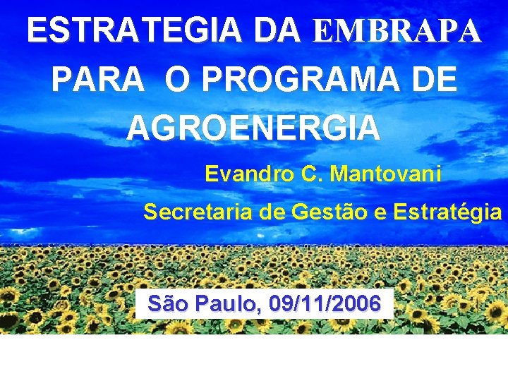 ESTRATEGIA DA EMBRAPA PARA O PROGRAMA DE AGROENERGIA Evandro C. Mantovani Secretaria de Gestão