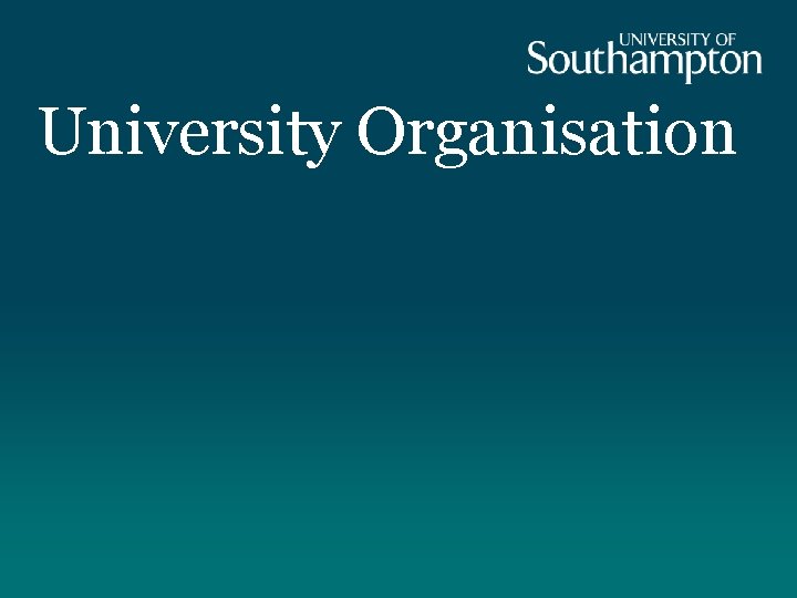 University Organisation 