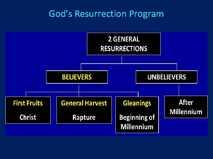 God’s Resurrection Program 