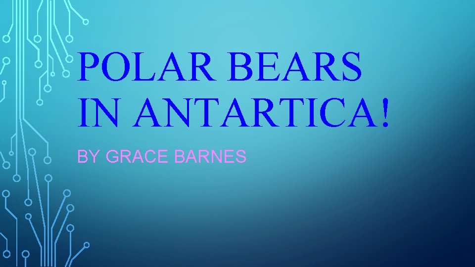 POLAR BEARS IN ANTARTICA! BY GRACE BARNES 