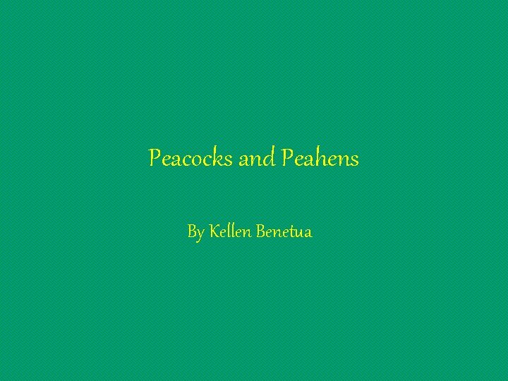 Peacocks and Peahens By Kellen Benetua 