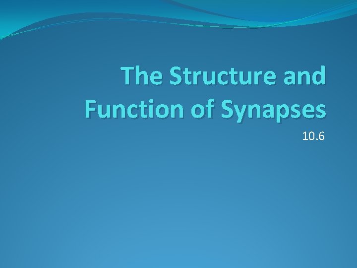 The Structure and Function of Synapses 10. 6 