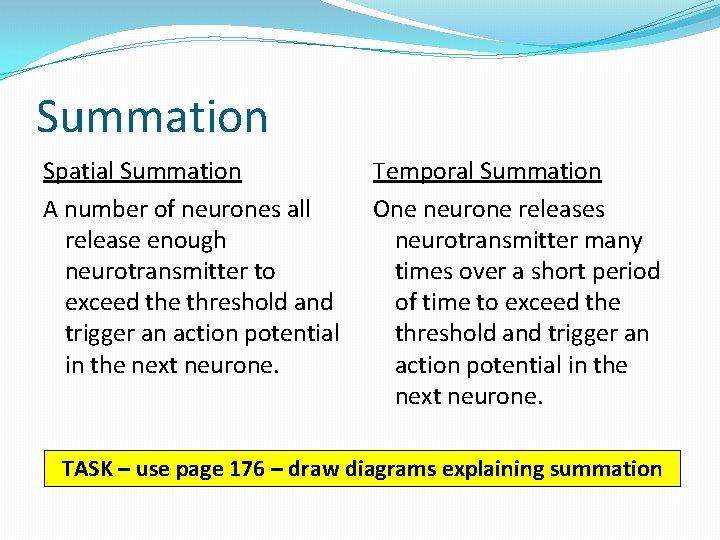 Summation Spatial Summation A number of neurones all release enough neurotransmitter to exceed the