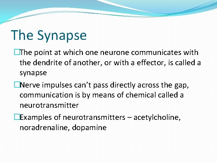 The Synapse �The point at which one neurone communicates with the dendrite of another,