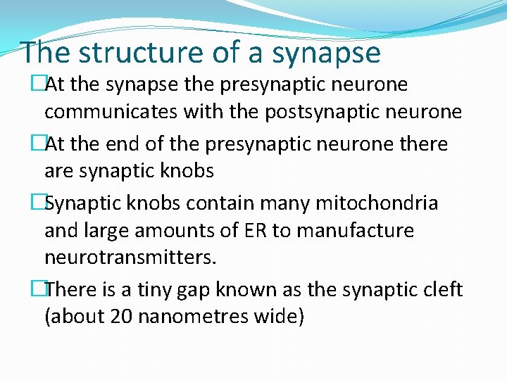 The structure of a synapse �At the synapse the presynaptic neurone communicates with the