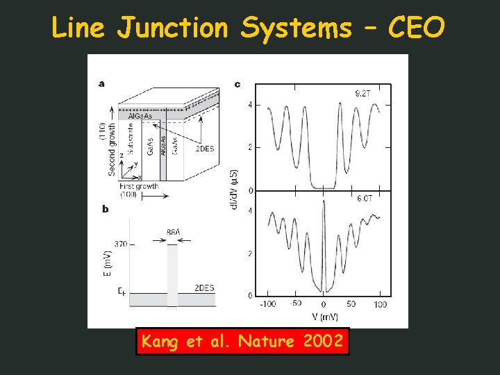 Line Junction Systems – CEO Kang et al. Nature 2002 