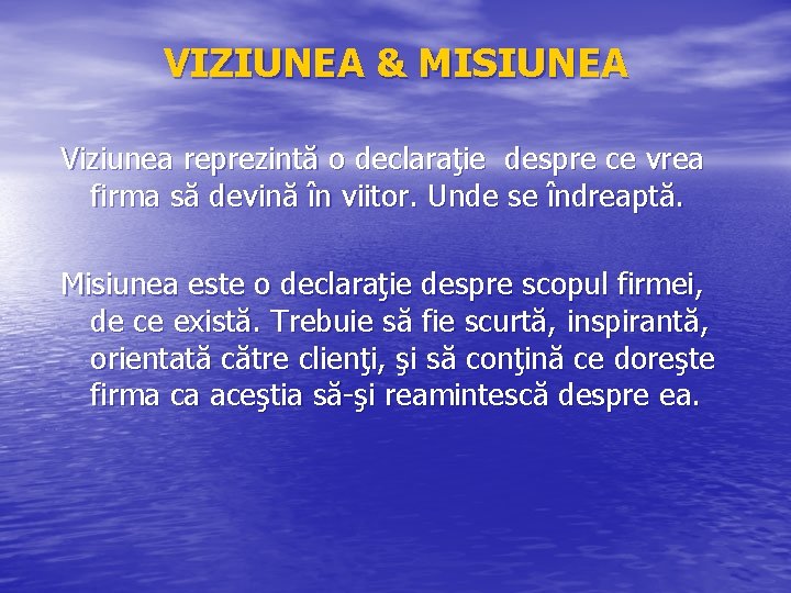 VIZIUNEA & MISIUNEA Viziunea reprezintă o declaraţie despre ce vrea firma să devină în