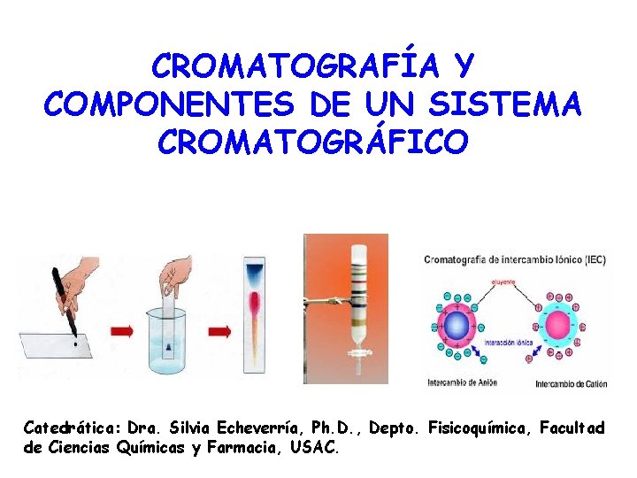 CROMATOGRAFÍA Y COMPONENTES DE UN SISTEMA CROMATOGRÁFICO Catedrática: Dra. Silvia Echeverría, Ph. D. ,