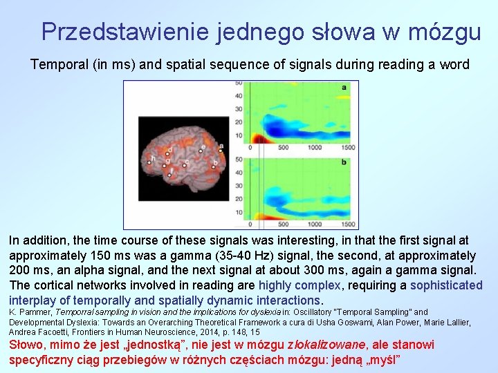 Przedstawienie jednego słowa w mózgu Temporal (in ms) and spatial sequence of signals during