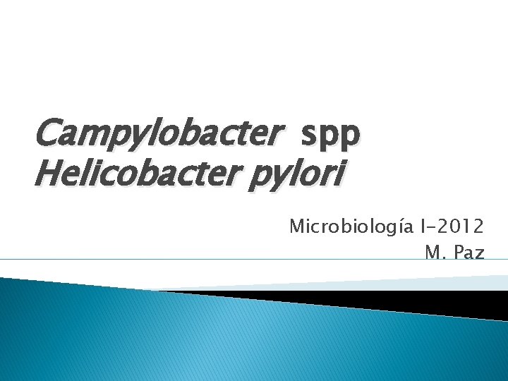 Campylobacter spp Helicobacter pylori Microbiología I-2012 M. Paz 