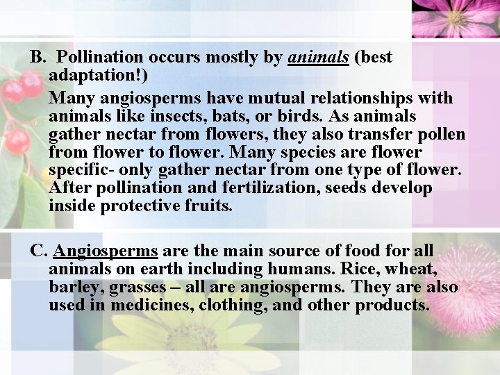 B. Pollination occurs mostly by animals (best adaptation!) Many angiosperms have mutual relationships with B. Pollination occurs mostly by animals (best adaptation!) Many angiosperms have mutual relationships with