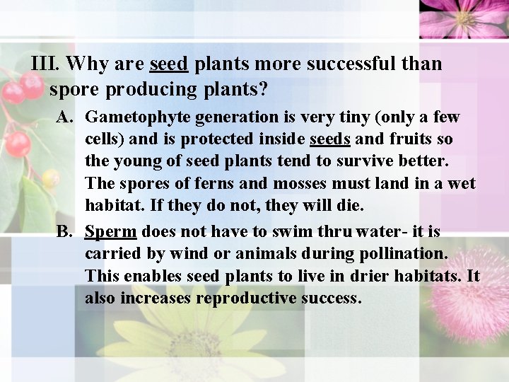 III. Why are seed plants more successful than spore producing plants? A. Gametophyte generation III. Why are seed plants more successful than spore producing plants? A. Gametophyte generation