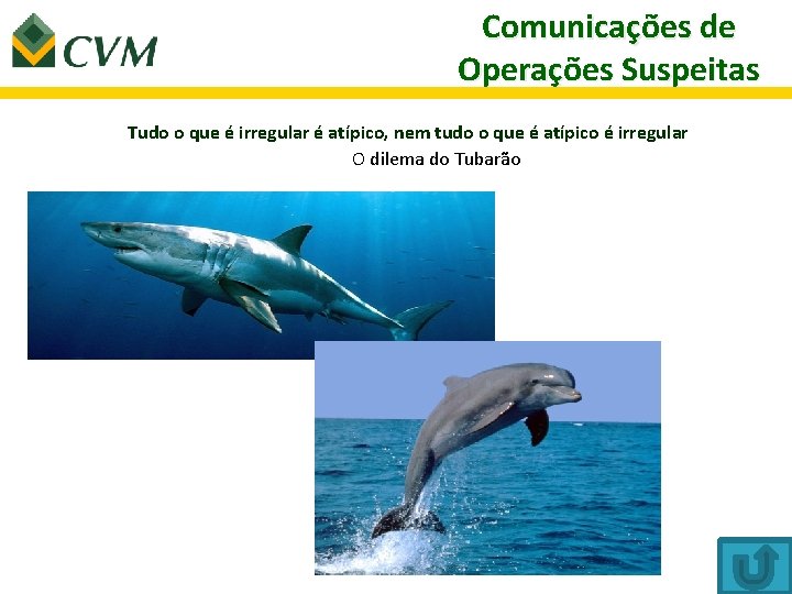  Comunicações de Operações Suspeitas Tudo o que é irregular é atípico, nem tudo