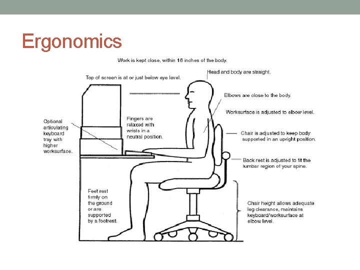 Ergonomics 