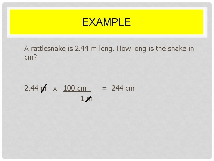 EXAMPLE A rattlesnake is 2. 44 m long. How long is the snake in