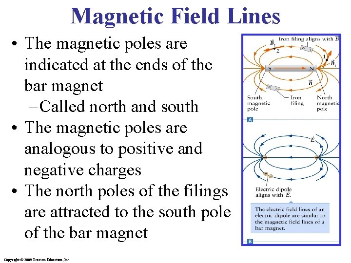 Magnetic Field Lines • The magnetic poles are indicated at the ends of the