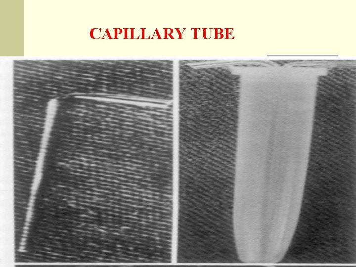 CAPILLARY TUBE 