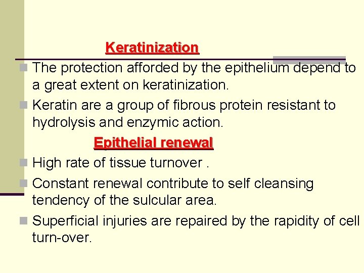 Keratinization n The protection afforded by the epithelium depend to a great extent on