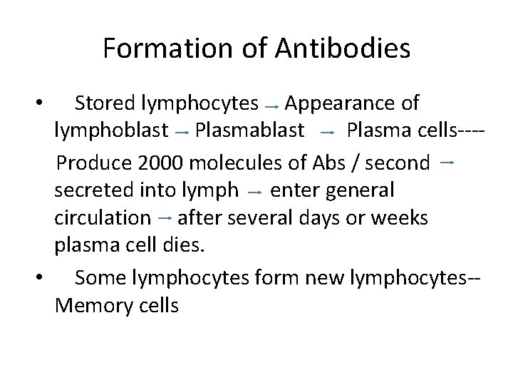 Formation of Antibodies Stored lymphocytes Appearance of lymphoblast Plasma cells---Produce 2000 molecules of Abs
