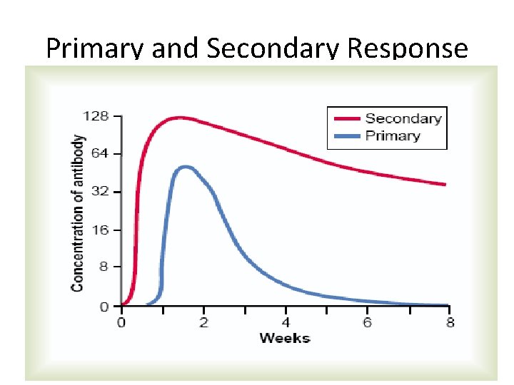 Primary and Secondary Response 