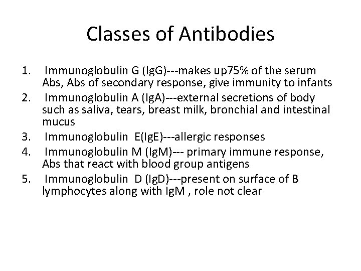 Classes of Antibodies 1. 2. 3. 4. 5. Immunoglobulin G (Ig. G)---makes up 75%