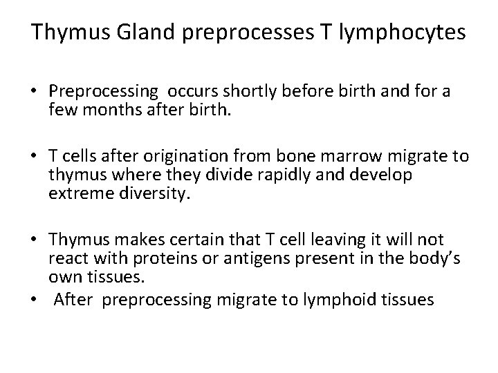 Thymus Gland preprocesses T lymphocytes • Preprocessing occurs shortly before birth and for a