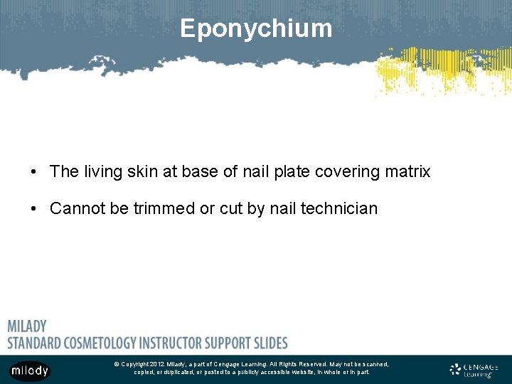 Eponychium • The living skin at base of nail plate covering matrix • Cannot Eponychium • The living skin at base of nail plate covering matrix • Cannot