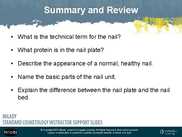 Summary and Review • What is the technical term for the nail? • What Summary and Review • What is the technical term for the nail? • What
