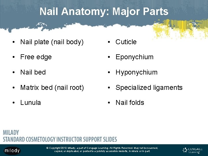 Nail Anatomy: Major Parts • Nail plate (nail body) • Cuticle • Free edge Nail Anatomy: Major Parts • Nail plate (nail body) • Cuticle • Free edge