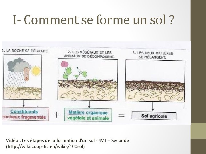 I- Comment se forme un sol ? Vidéo : Les étapes de la formation