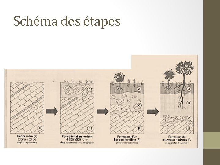 Schéma des étapes 