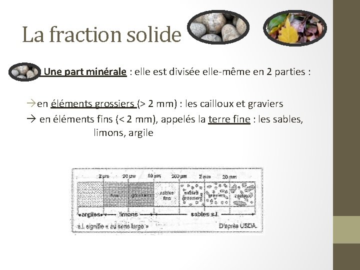 La fraction solide Une part minérale : elle est divisée elle-même en 2 parties