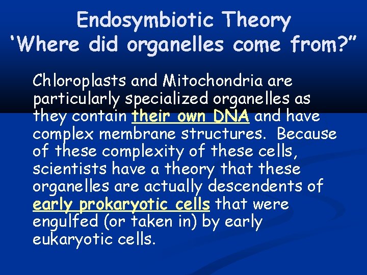 Endosymbiotic Theory ‘Where did organelles come from? ” Chloroplasts and Mitochondria are particularly specialized