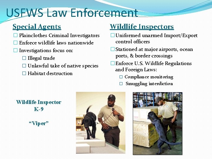 USFWS Law Enforcement Special Agents Wildlife Inspectors � Plainclothes Criminal Investigators � Enforce wildlife