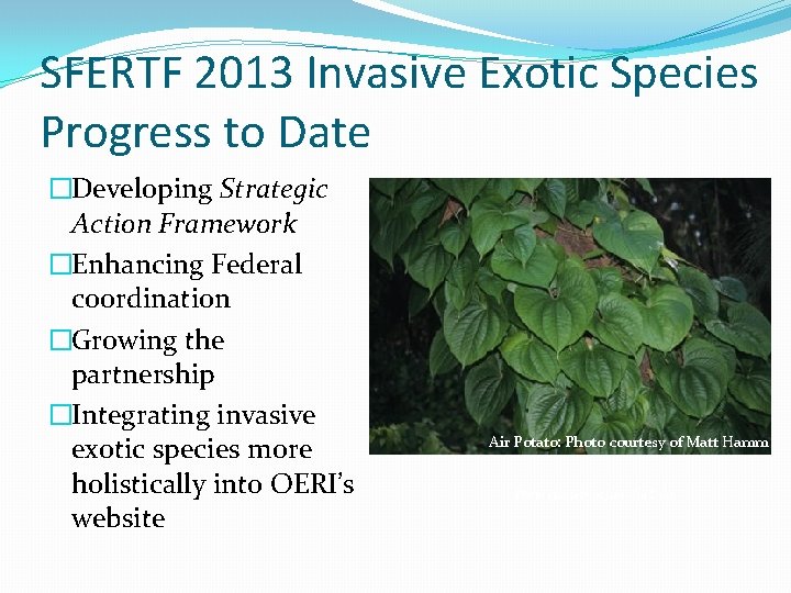 SFERTF 2013 Invasive Exotic Species Progress to Date �Developing Strategic Action Framework �Enhancing Federal