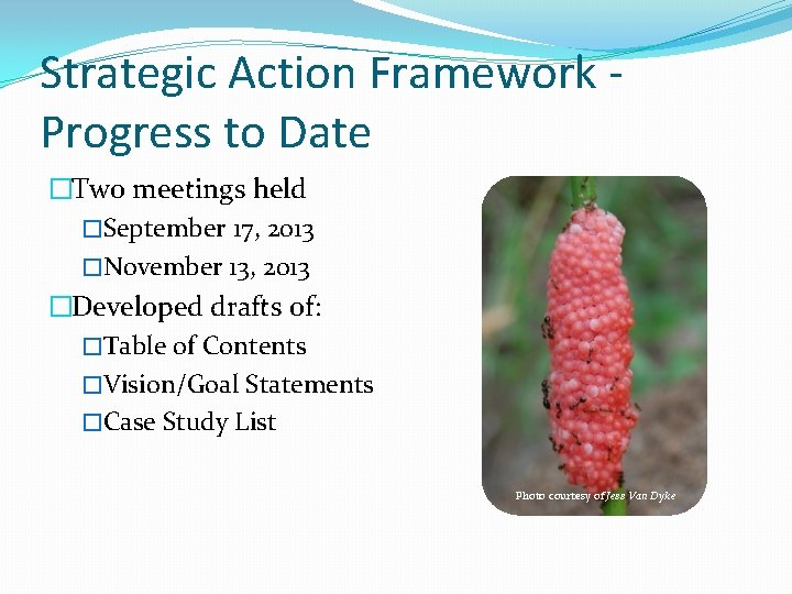 Strategic Action Framework Progress to Date �Two meetings held �September 17, 2013 �November 13,