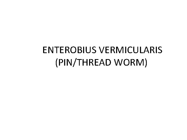 ENTEROBIUS VERMICULARIS (PIN/THREAD WORM) 