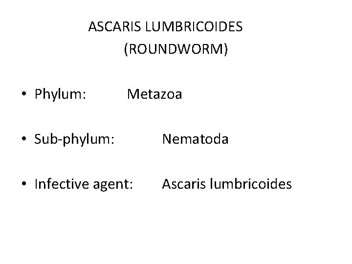 ASCARIS LUMBRICOIDES (ROUNDWORM) • Phylum: Metazoa • Sub-phylum: Nematoda • Infective agent: Ascaris lumbricoides