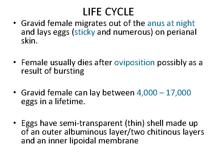 LIFE CYCLE • Gravid female migrates out of the anus at night and lays