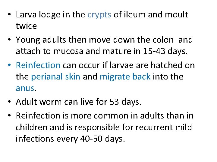  • Larva lodge in the crypts of ileum and moult twice • Young