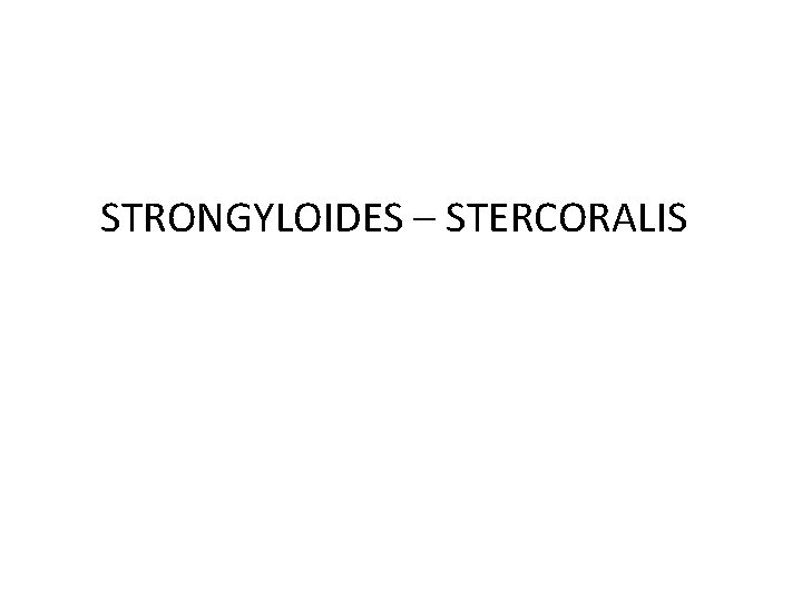 STRONGYLOIDES – STERCORALIS 